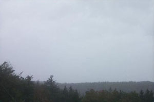 Acadia: Foggy Day